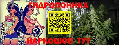 гидра Мариинск